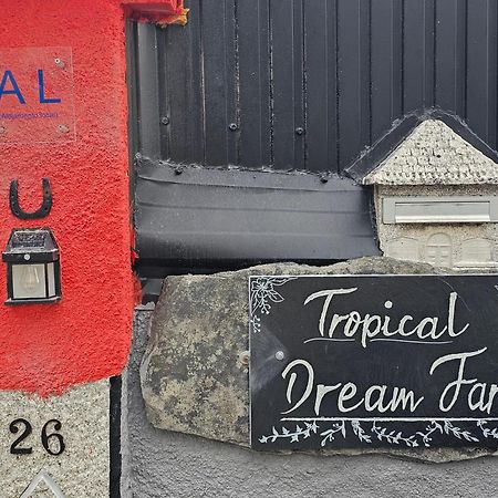 Tropical Dream Farm Hotell Vouzela Exteriör bild